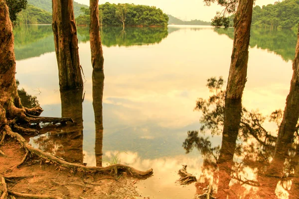 Reservatório Floresta Reservatório Shing Mun — Fotografia de Stock