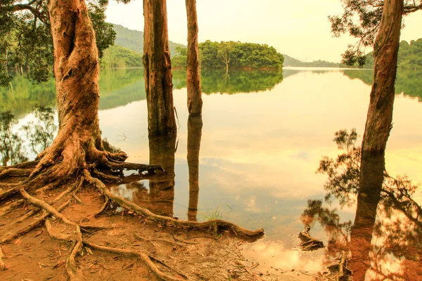 Reservatório Floresta Reservatório Shing Mun — Fotografia de Stock