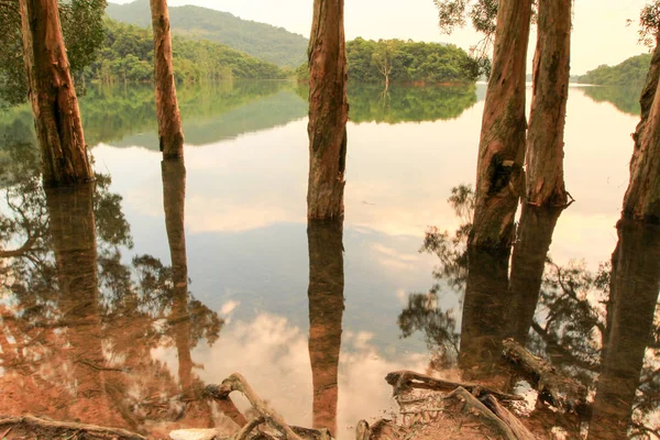 Reservatório Floresta Reservatório Shing Mun — Fotografia de Stock