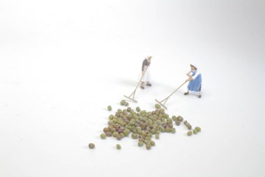 Çiftçi fasulye makro fotoğraf ile grubun