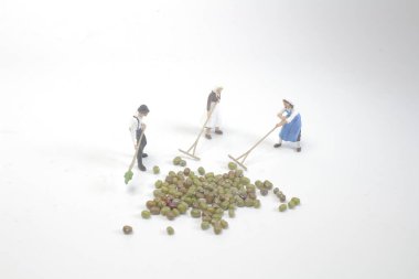 Çiftçi fasulye makro fotoğraf ile grubun