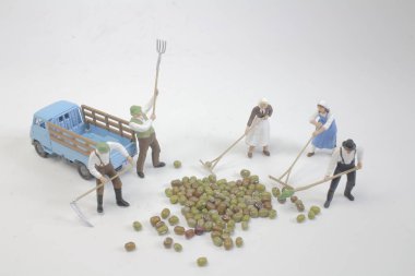 Çiftçi fasulye makro fotoğraf ile grubun