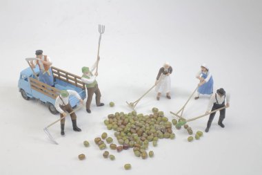 Çiftçi fasulye makro fotoğraf ile grubun