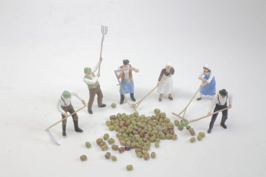 Çiftçi fasulye makro fotoğraf ile grubun