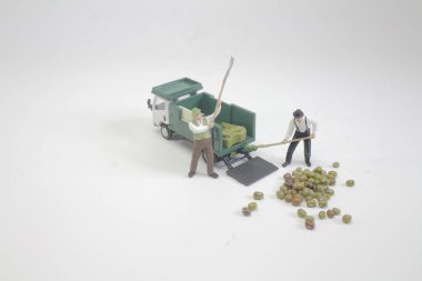 Çiftçi fasulye makro fotoğraf ile grubun