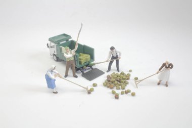 Çiftçi fasulye makro fotoğraf ile grubun