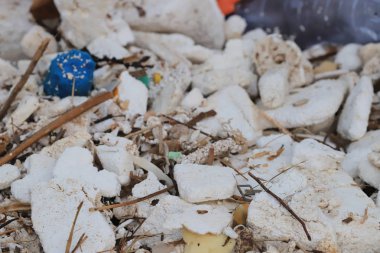 doğrudan denize atılmış bir plastik