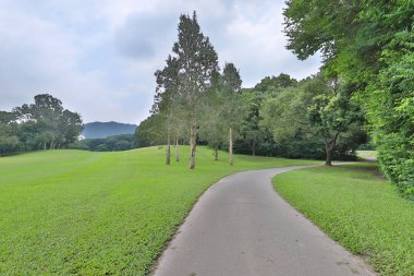 yürüyüş yolu ve yeşil alan bir doku