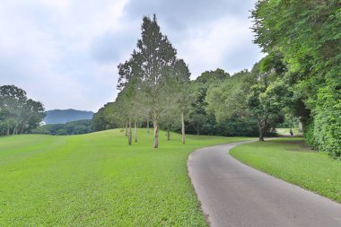 yürüyüş yolu ve yeşil alan bir doku