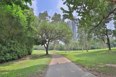 yürüyüş yolu ve yeşil alan bir doku