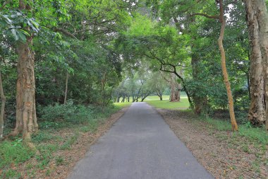 Mükemmel çim golf sahası önce alan bir hk