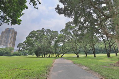 Mükemmel çim golf sahası önce alan bir hk