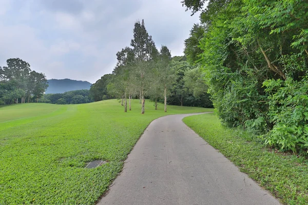 yürüyüş yolu ve yeşil alan bir doku