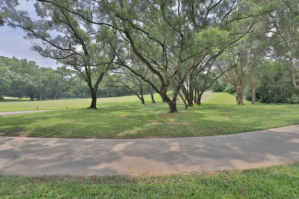 Ein Perfektes Rasengolfplatz Feld Bei — Stockfoto