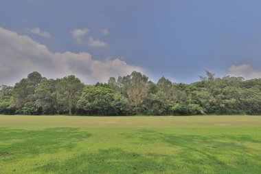 Mükemmel çim golf sahası önce alan bir hk