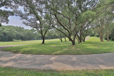 Mükemmel çim golf sahası önce alan bir hk