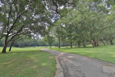 Mükemmel çim golf sahası sahası hk