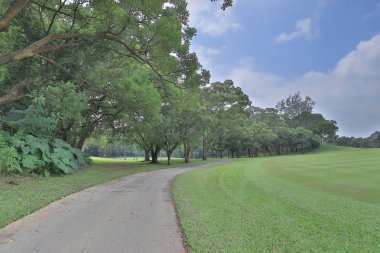 Mükemmel çim golf sahası sahası hk