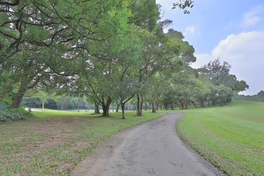 Mükemmel çim golf sahası sahası hk
