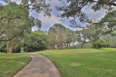 Mükemmel çim golf sahası önce alan bir hk