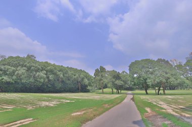 Yeşil park yol yol golf Park