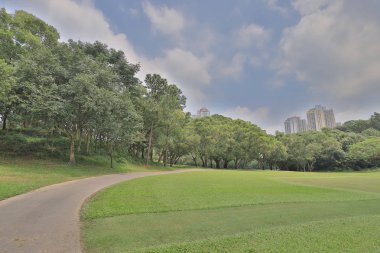 Yeşil park yol yol golf Park