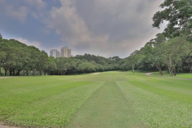 Odak çim golf sahası ve büyük şehir blu