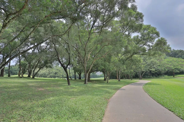 Καταπράσινο Πάρκο Τρόπος Πορειών Στο Golf Park — Φωτογραφία Αρχείου