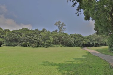 Mükemmel çim golf sahası önce alan bir hk