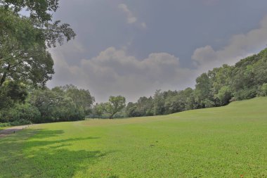 Mükemmel çim golf sahası önce alan bir hk