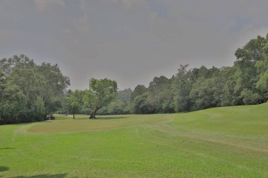 Mükemmel çim golf sahası önce alan bir hk