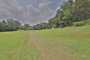 bir yeşil golf sahası fairway sepeti yolunda bulutlu 