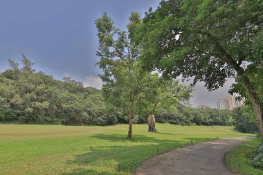 bir yeşil park yol yol golf başabaş