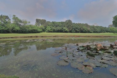 Muhteşem yeşil ve gölet ile Golf Sahası