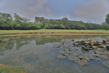 Muhteşem yeşil ve gölet ile Golf Sahası