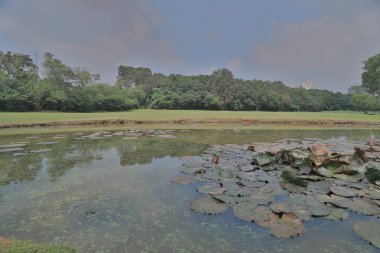 Muhteşem yeşil ve gölet ile Golf Sahası