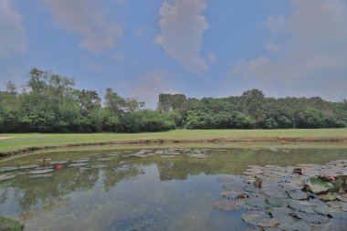 Muhteşem yeşil ve gölet ile Golf Sahası