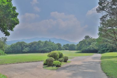 bir yeşil park yol yol golf başabaş