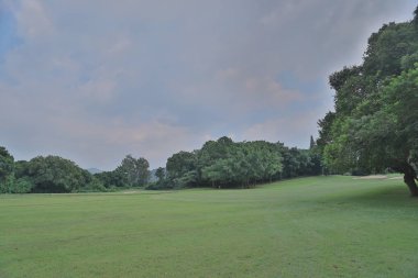 bir yeşil golf sahası fairway sepeti yolunda bulutlu 