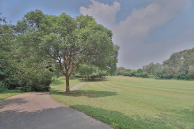 bir yeşil park yol yol golf başabaş