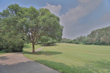 bir yeşil park yol yol golf başabaş