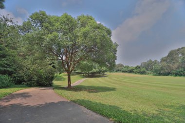 Hong Kong Country Club golf sahası