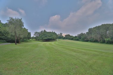 bir yeşil golf sahası fairway sepeti yolunda bulutlu 