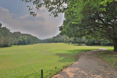 bir yeşil park yol yol golf başabaş