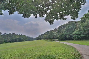 bir yeşil park yol yol golf başabaş