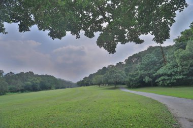 bir yeşil park yol yol golf başabaş