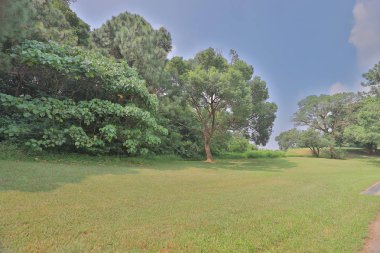 bir yeşil park yol yol golf başabaş