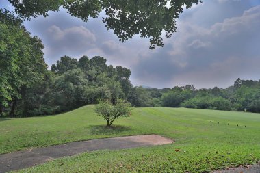 Mükemmel çim golf sahası sahası hk