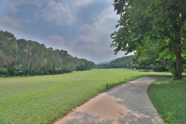 bir yeşil park yol yol golf başabaş