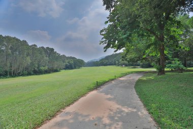 bir yeşil park yol yol golf başabaş